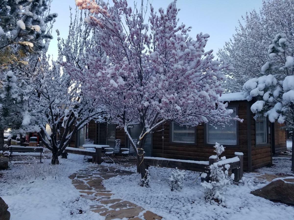 West Winds Lodge Ruidoso Exteriér fotografie